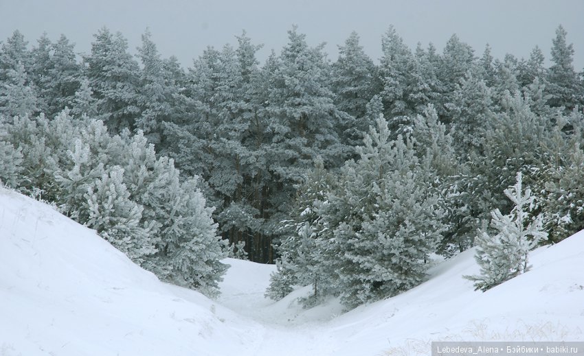 Марта и красивости — Фотоистории с куклами BJD (БЖД): сериалы