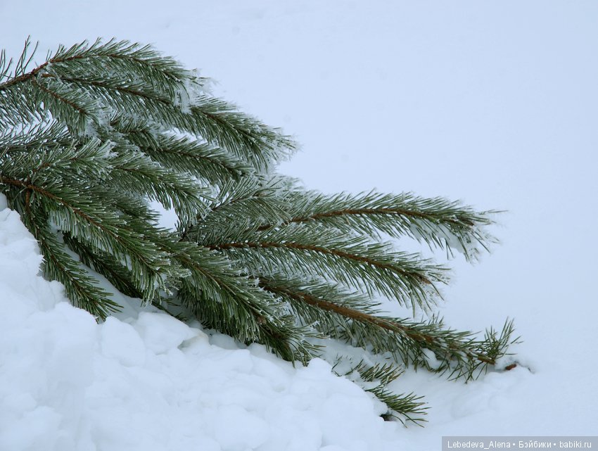 Марта и красивости — Фотоистории с куклами BJD (БЖД): сериалы (фото 3)
