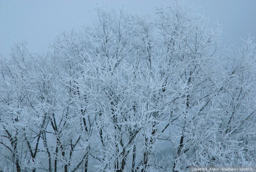 Марта и красивости — Фотоистории с куклами BJD (БЖД): сериалы (фото 6)