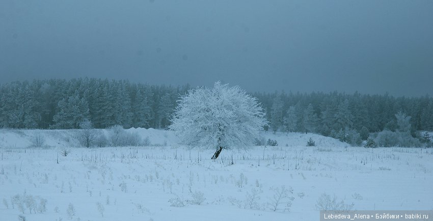 Марта и красивости — Фотоистории с куклами BJD (БЖД): сериалы (фото 7)