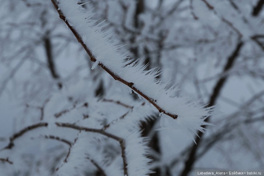 Марта и красивости — Фотоистории с куклами BJD (БЖД): сериалы