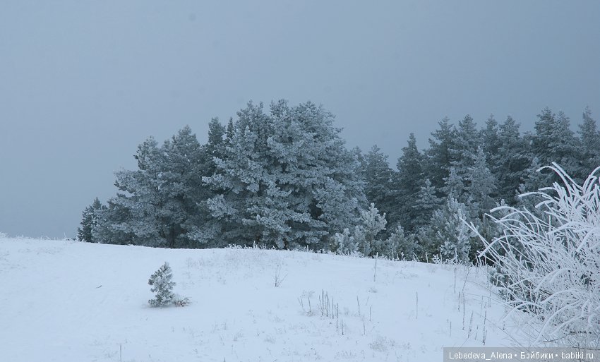Марта и красивости — Фотоистории с куклами BJD (БЖД): сериалы (фото 8)