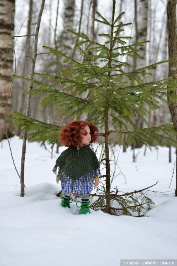 Джул в лесу. Jul Zwergnase (фото 4)