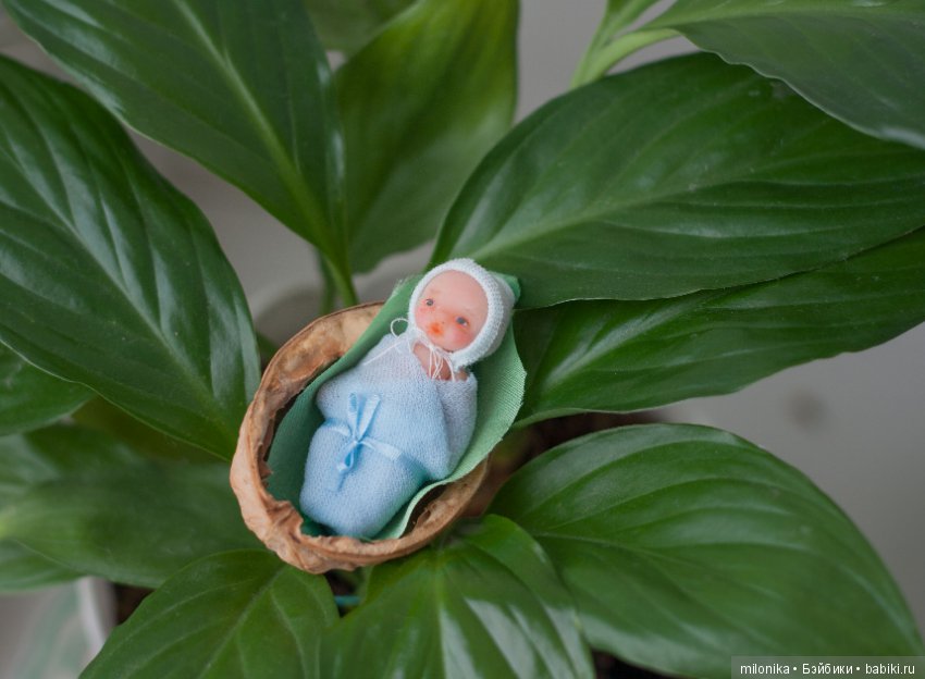 Малюсики микро-пупсики — Авторские миниатюрные куклы: лепка (фото 3)