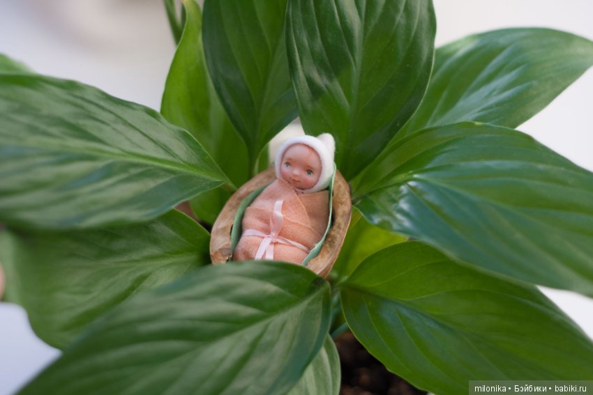 Малюсики микро-пупсики — Авторские миниатюрные куклы: лепка (фото 4)