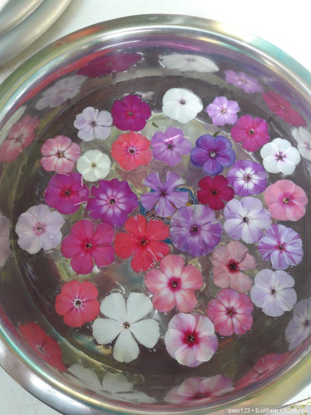 "Дивный сад" или я скучаю по саду, коллекция флоксов (фото 7)