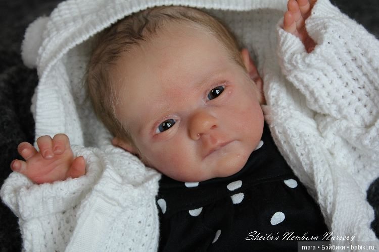 Lovelyn скульптора Sheila Mrofka. автор прототипа Sheilas Newborn Nursery