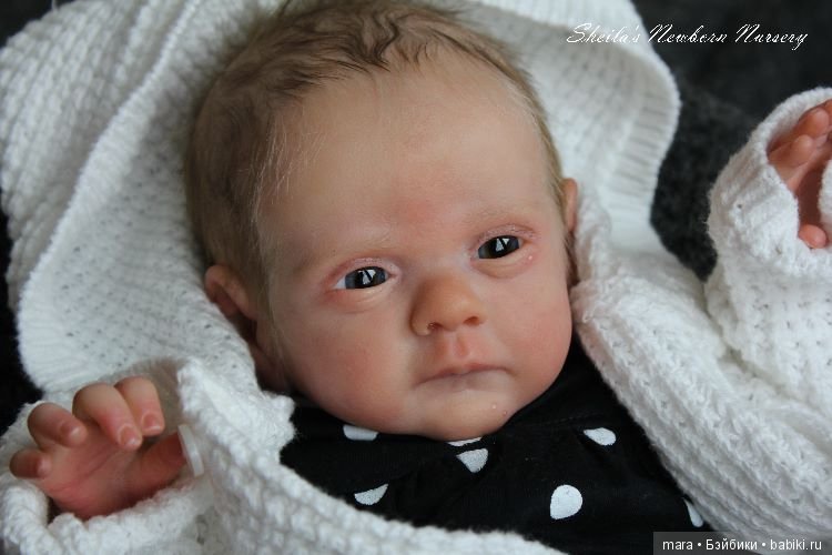 Lovelyn скульптора Sheila Mrofka. автор прототипа Sheilas Newborn Nursery