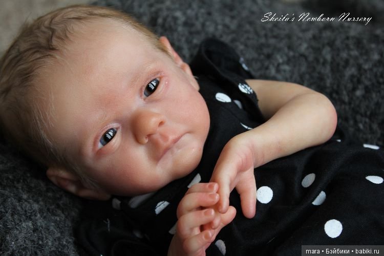 Lovelyn скульптора Sheila Mrofka. автор прототипа Sheilas Newborn Nursery