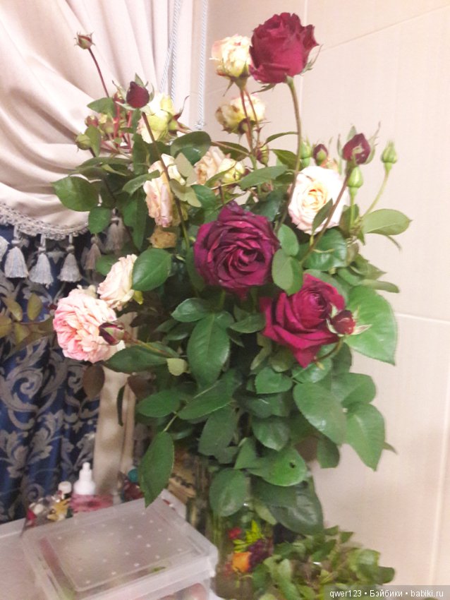 "Дивный сад" или я скучаю по саду, коллекция розочек (фото 4)