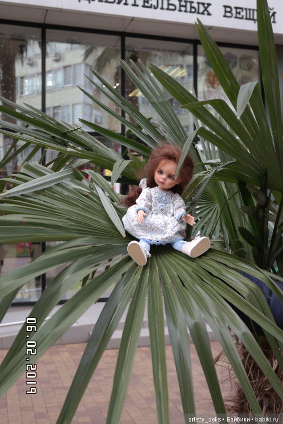 Сочинская пальмолазочка — ООАК Paola Reina (Паола Рейна) и испанских кукол: перерисовка (фото 10)