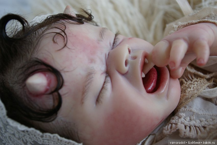 Ну вот и мой любимиц, малыш Демиам нашел свой новый дом (фото 8)