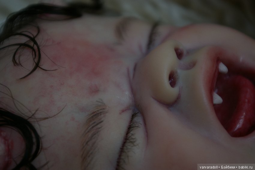 Ну вот и мой любимиц, малыш Демиам нашел свой новый дом (фото 5)