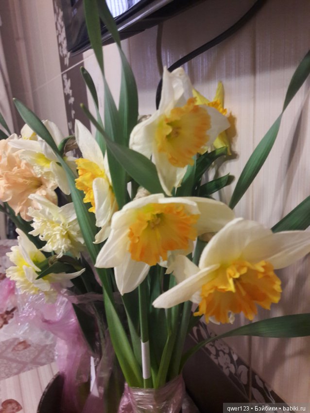 "Дивный сад" или я скучаю по саду, коллекция нарциссов и тюльпанов (фото 3)