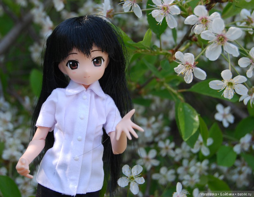 Наши Азонки в цветах — Куклы Azone (Азон) и тела Pure Neemo: фото (фото 2)