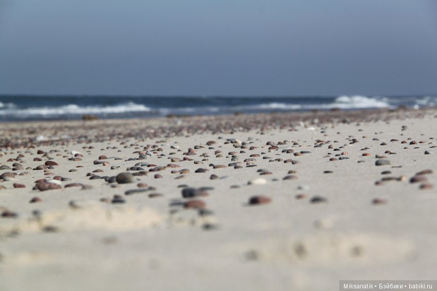 Откуда берутся подарки — Авторские мишки Тедди и друзья: фото