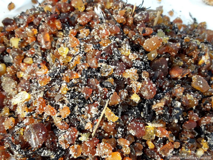 Откуда берутся подарки — Авторские мишки Тедди и друзья: фото (фото 2)