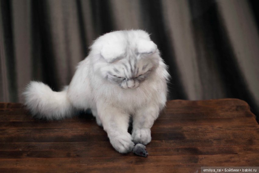 Кошечка Белая длинношерстная. Игрушка в стиле натюр (фото 10)