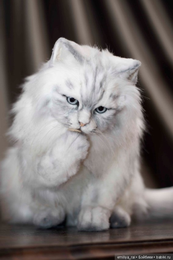 Кошечка Белая длинношерстная. Игрушка в стиле натюр