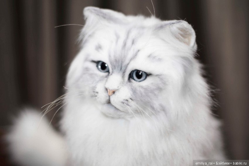 Кошечка Белая длинношерстная. Игрушка в стиле натюр (фото 9)