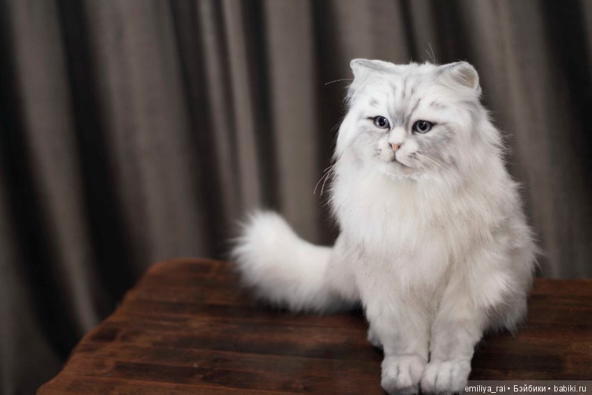 Кошечка Белая длинношерстная. Игрушка в стиле натюр (фото 7)