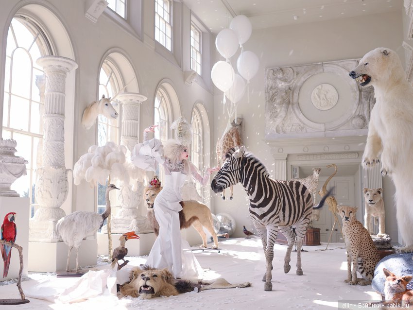 Фантастические работы Miss Aniela, фотохудожницы из Великобритании