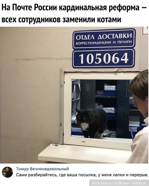 Немного юмора — Болталка и разговоры обо всем: жизнь