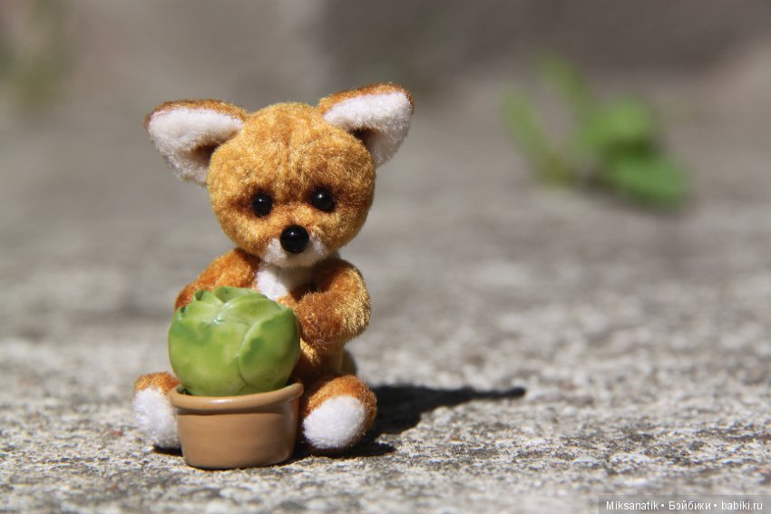 Лисы вечны - все остальное преходяще