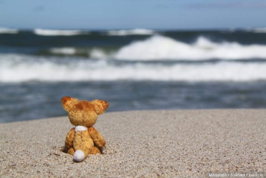 Лисы вечны - все остальное преходяще