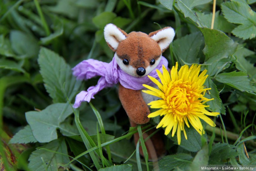 Лисы вечны - все остальное преходяще