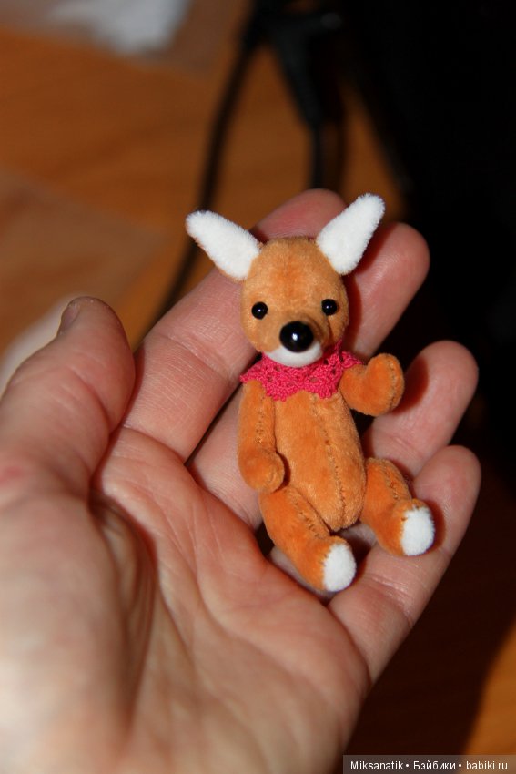 Лисы вечны - все остальное преходяще (фото 2)