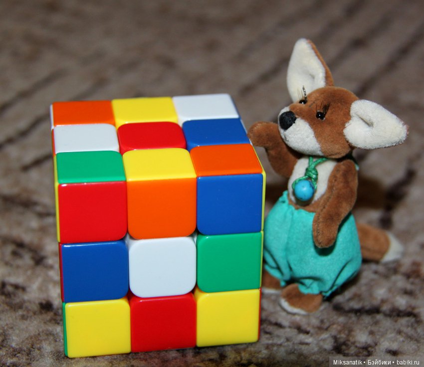 Лисы вечны - все остальное преходяще (фото 3)