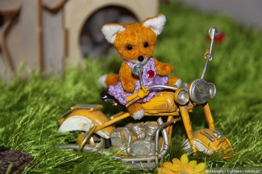 Лисы вечны - все остальное преходяще (фото 5)