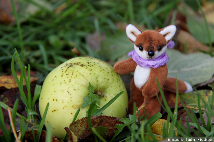 Лисы вечны - все остальное преходяще