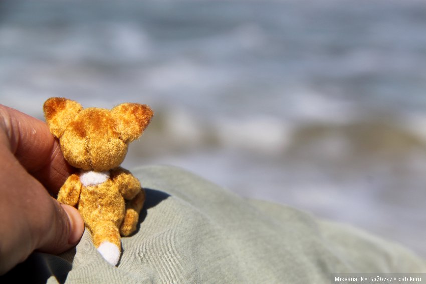 Лисы вечны - все остальное преходяще