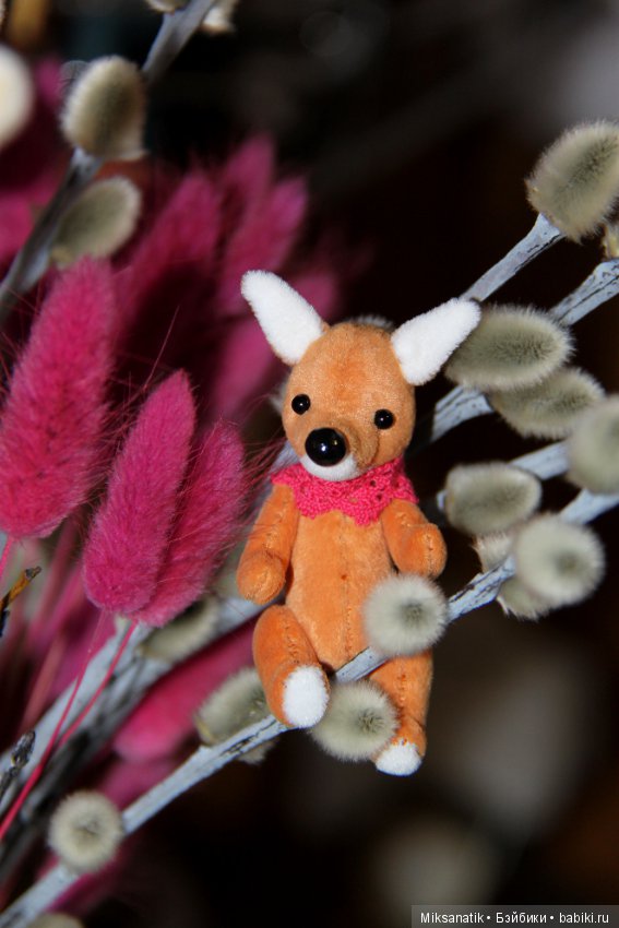 Лисы вечны - все остальное преходяще (фото 9)