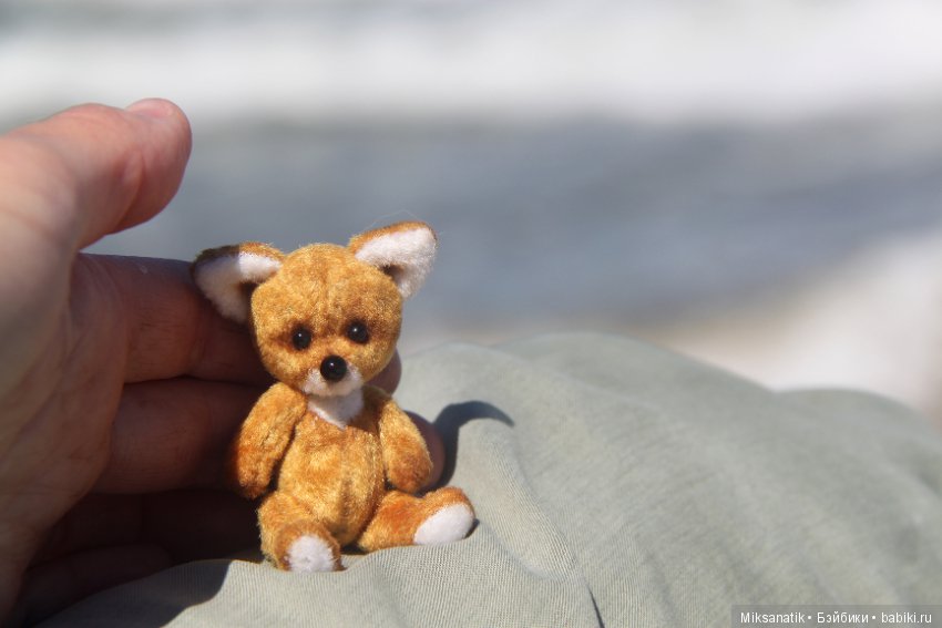 Лисы вечны - все остальное преходяще