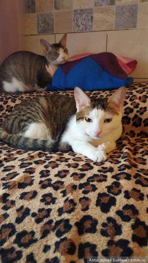 Как выросло наше чудо — Болталка и разговоры обо всем: жизнь (фото 2)