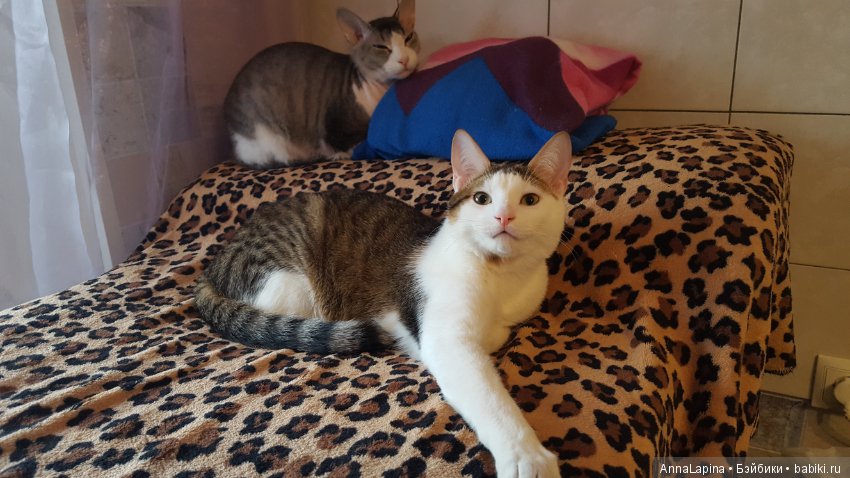 Как выросло наше чудо — Болталка и разговоры обо всем: жизнь