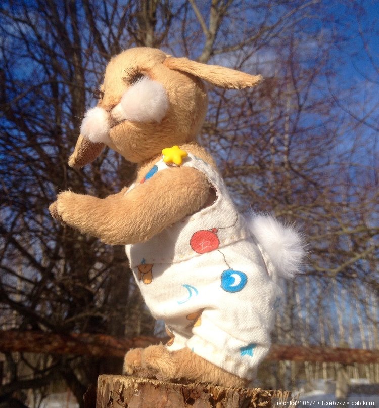 Зайка Крошечка, он же Крошка, он же Крош (фото 8)