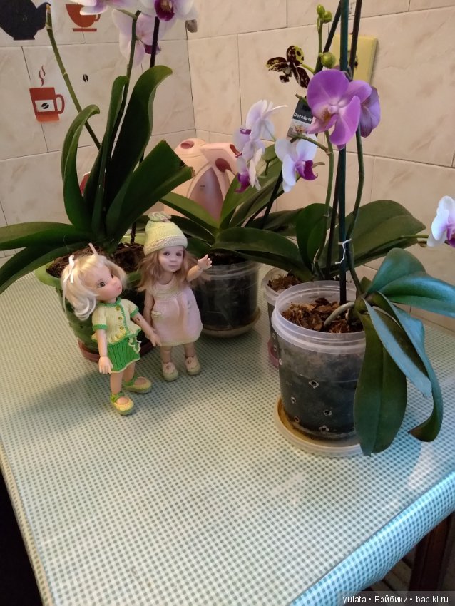 Встречаем новеньких — Домашние фото авторских кукол: личные коллекции (фото 3)