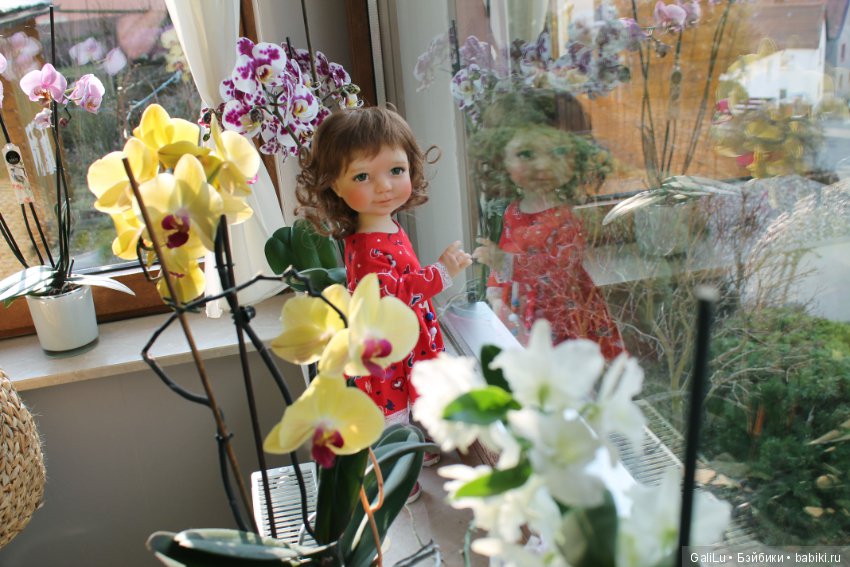 Big Bailey, Meadowdolls — Куклы Meadow dolls (Медовушки): BJD (БЖД) (фото 6)