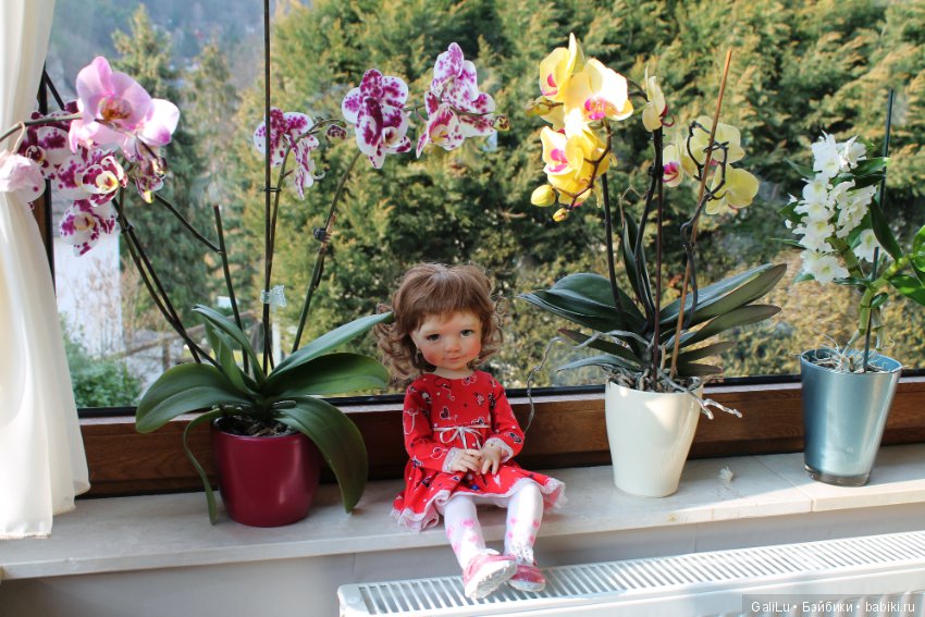 Big Bailey, Meadowdolls — Куклы Meadow dolls (Медовушки): BJD (БЖД) (фото 7)