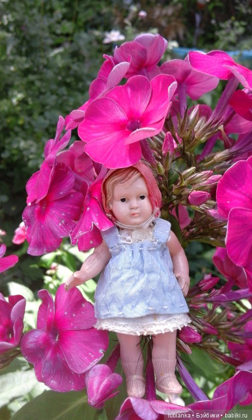 Радость моя целлулоидная — Болталка и разговоры обо всем: жизнь