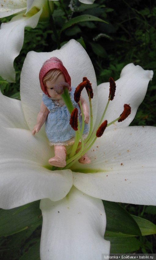 Радость моя целлулоидная — Болталка и разговоры обо всем: жизнь