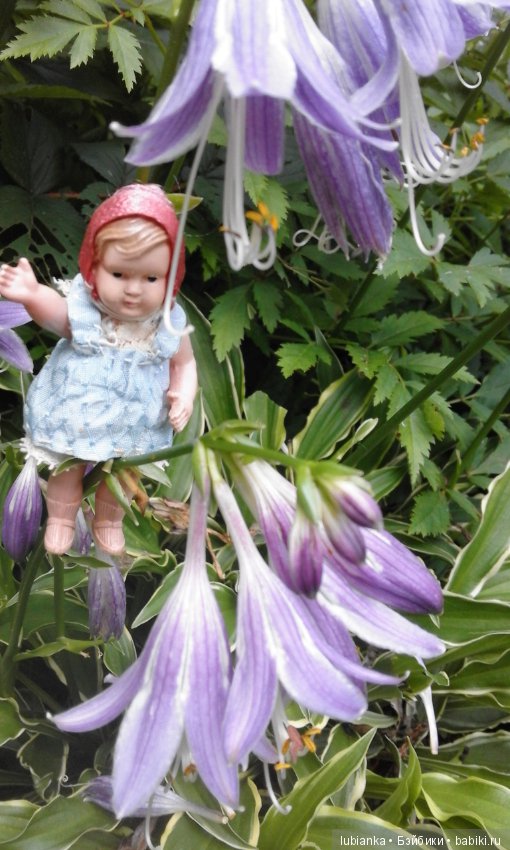 Радость моя целлулоидная — Болталка и разговоры обо всем: жизнь