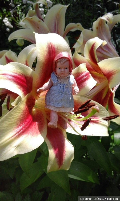 Радость моя целлулоидная — Болталка и разговоры обо всем: жизнь