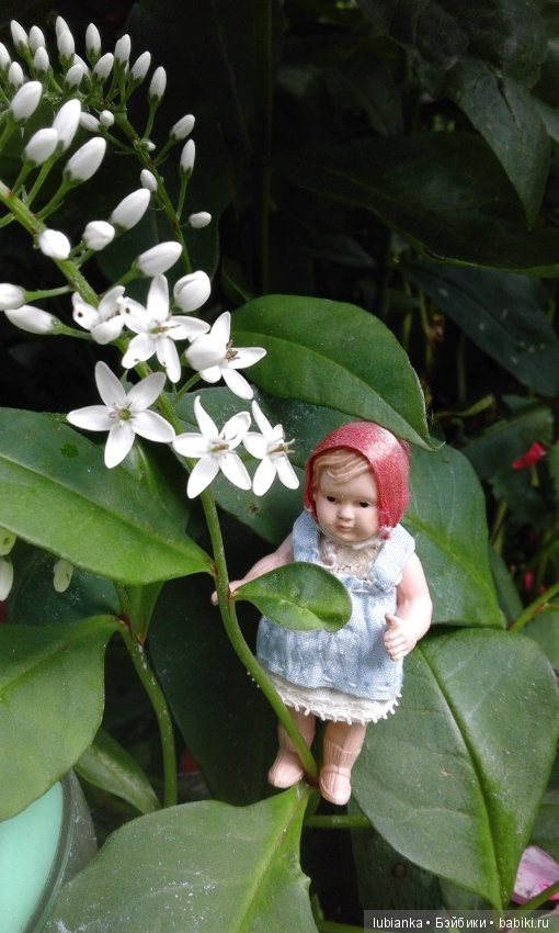 Радость моя целлулоидная — Болталка и разговоры обо всем: жизнь