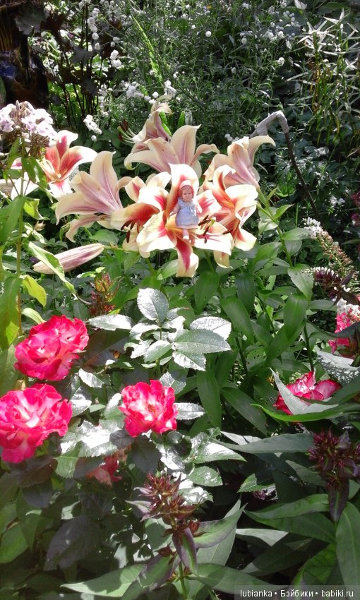 Радость моя целлулоидная — Болталка и разговоры обо всем: жизнь