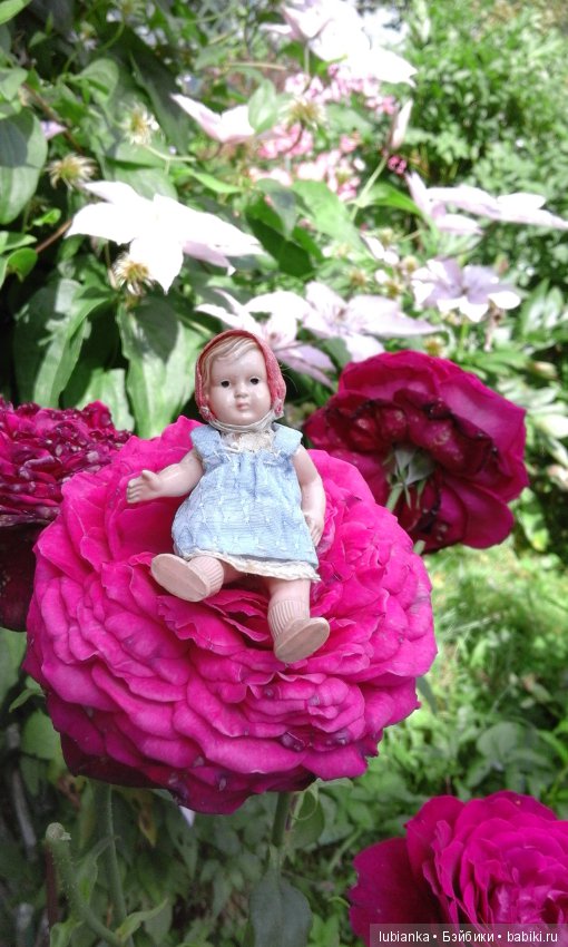 Радость моя целлулоидная — Болталка и разговоры обо всем: жизнь